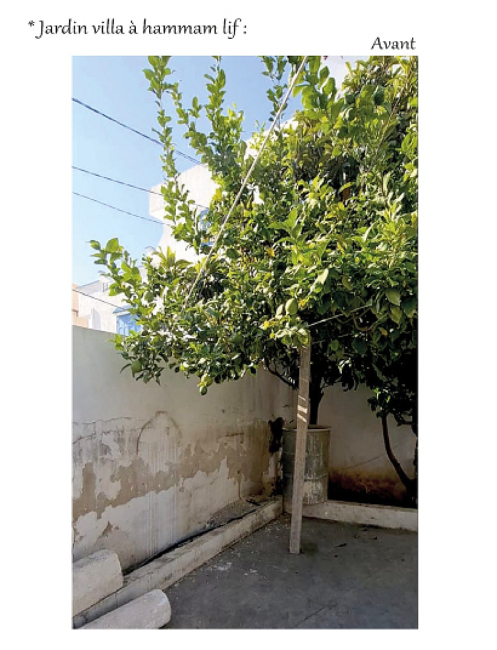 Jardin villa ( à hammam lif )